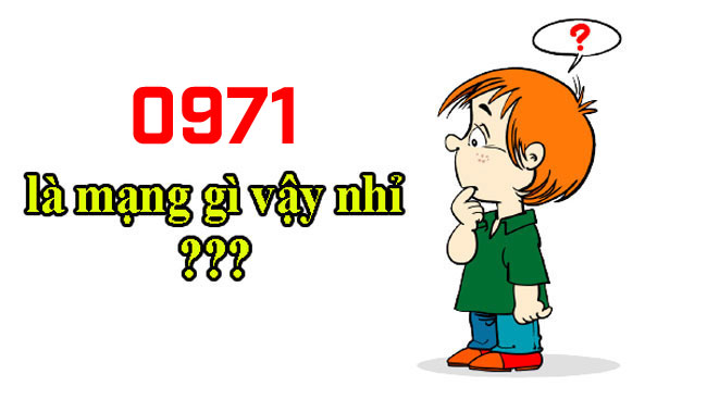 Sim 0971 là mạng gì?