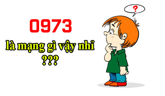 0973 là mạng gì?