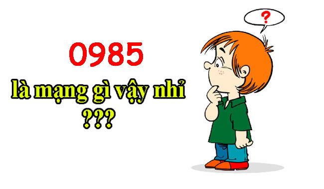 Sim 0985 là mạng gì?